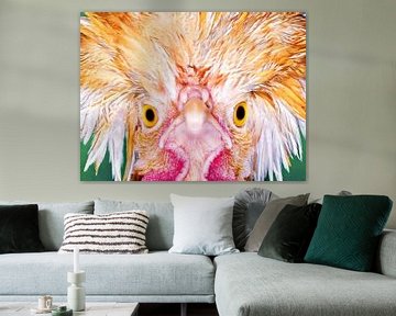 Angry Chicken is an Angry Bird. by Rick Nederstigt