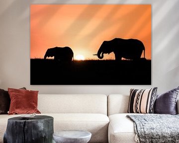 Elephants in Masai Mara by Sander Peters