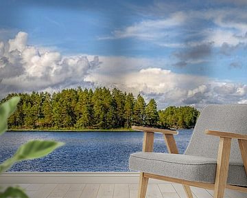 Stora Le See im Dalsland in Schweden von Sjoerd van der Wal Fotografie