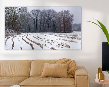 Snow-covered field by Jacques Splint