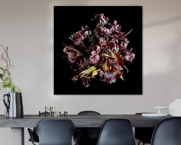 Tulpenbos van bovenaf gefotofrafeerd met zwarte achtergrond van Jacques Splint
