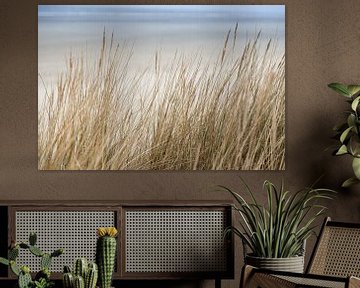 duinen en de zee op Schiermonnikoog | natuur fine art foto van Karijn | Fine art Natuur en Reis Fotografie