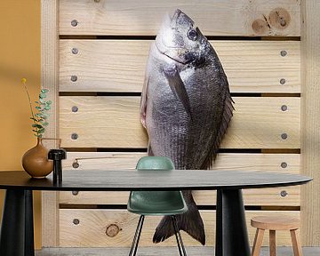 Fish in auction crate by Roland van Balen