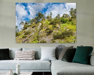 Berghelling aan de Almbachklamm in het Berchtesgadener Land