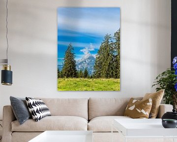 Bomen op de Litzlalm in de Alpen in Oostenrijk van Rico Ködder