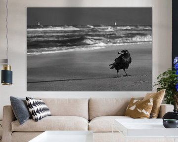 Portrait of a Raven at the Beach by Julien Beyrath