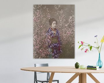 "A Damsel" - Maiko à la saison des cerisiers en fleurs, Ogawa Kazumasa