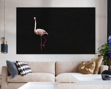 A flamingo in the dark by Leny Silina Helmig