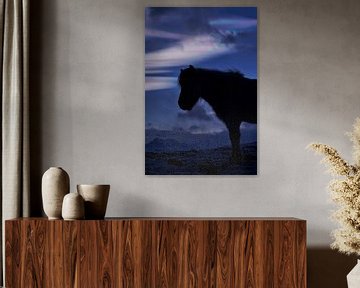 Ein Islandpferd vor einer Perlenwolke II von Elisa in Iceland