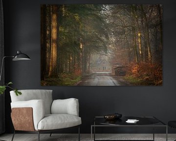 Forest avenue in the mist overlooking a house by KB Design & Photography (Karen Brouwer)