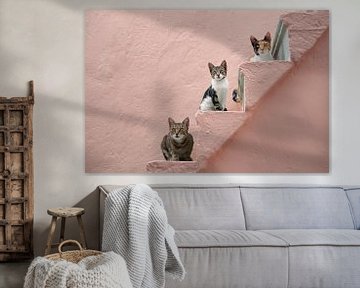 Drie katten op een roze trap van Katho Menden