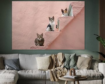 Drei Katzen auf einer rosa Treppe von Katho Menden