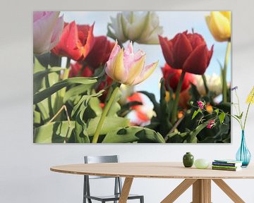 Tulpen sur Geert Heldens