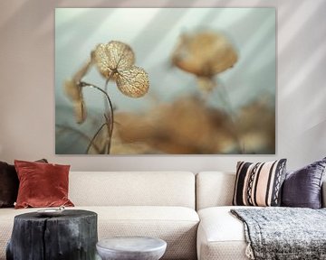 Hydrangea Leaves with Ripe in Winter by Nanda Bussers