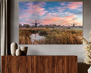 Beaucoup de couleurs dans l'Oudorperpolder. sur Jaap Spaans