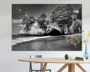Cathedral cove in Black and White by Roy IJpelaar