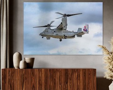 Bell Boeing MV-22 Osprey aus VMM 365 "Blue Knights". von Jaap van den Berg