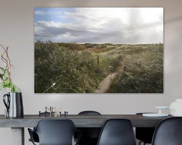 Wandelpad door de duinen van Lisanne Storm