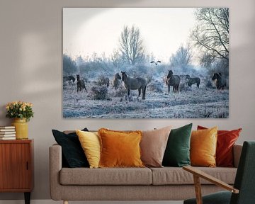 Konikpaarden in winterse sferen van Jan Georg Meijer