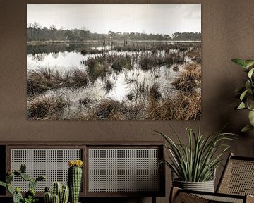 Hochwasser im Naturschutzgebiet Kampina von Arthur van den Berg