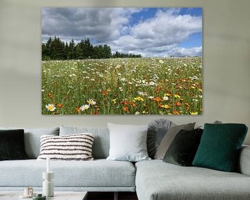 A field in bloom under a summer sky by Claude Laprise