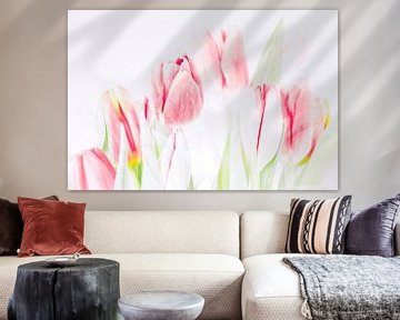 Tulipes en nuances d'aquarelle sur Paula van den Akker
