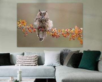 Owl on Autumn Branch by Dick van Duijn