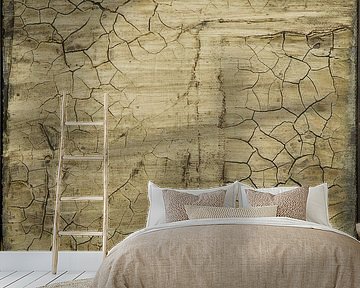 Dry land by Beatrice Chauville