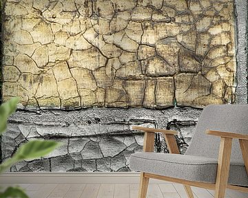 burnt land by Beatrice Chauville