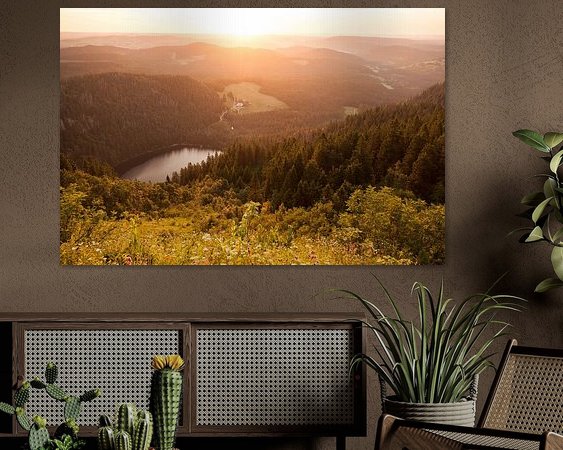 Aperçu de la chambre