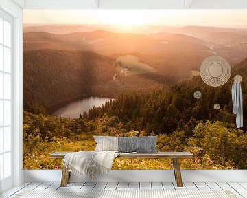 Feldsee op de Feldberg in het Zwarte Woud