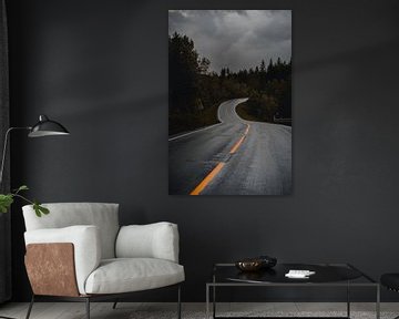 Landweg in Noorwegen van Pitkovskiy Photography|ART