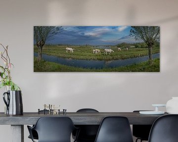 Koeien grazen in Nationaal Park de Wieden Overijssel. van Albert Brunsting