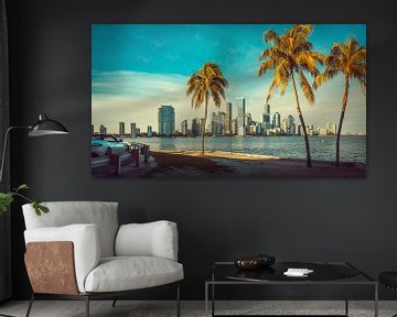miami, florida by Frank Peters