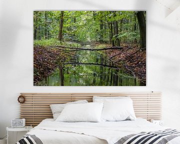 Un beau panorama dans la forêt de Waterloop sur Goffe Jensma