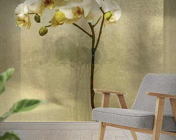 Still live. Orchid. Botanical Brilliance. by Alie Ekkelenkamp