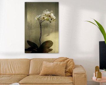 Orchidee in Brons. Japandi. Lente. van Alie Ekkelenkamp