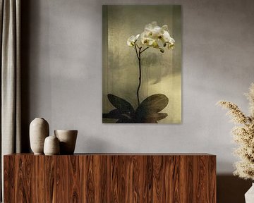 Orchidee in Bronze. Japandi. von Alie Ekkelenkamp