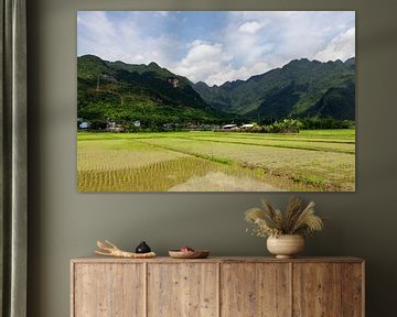 Reisfelder Mai Chau - Vietnam von Rick Van der Poorten