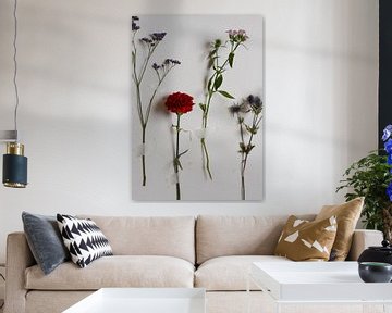 Trop fauché pour un vase - Des fleurs collées sur un mur blanc