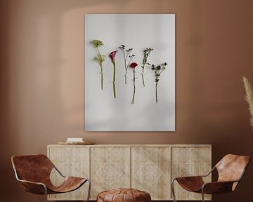 Trop fauché pour un vase - Des fleurs collées sur un mur blanc sur Misty Melodies