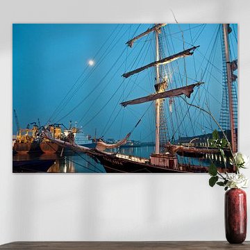 Thalassia in de haven van Scheveningen