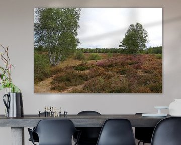 In de Lüneburger Heide in Nedersaksen van Karina Baumgart