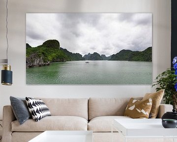 Halong Bay - North Vietnam by Rick Van der Poorten