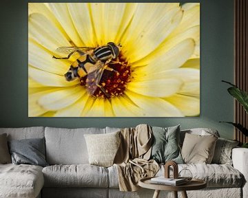 Gekleurde macrofotografie bloem met insect van Jolanda de Jong-Jansen