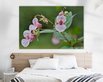 La fraîcheur de la nature