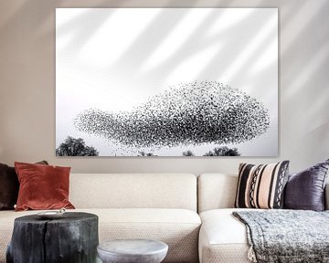 Starling murmuration in an overcast sky at the end of the day by Sjoerd van der Wal Photography