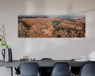 Bryce Canyon National Park, Panorama van Arthur van den Berg