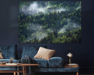 Nuages de brouillard au-dessus de la forêt printanière sur Daniel Gastager