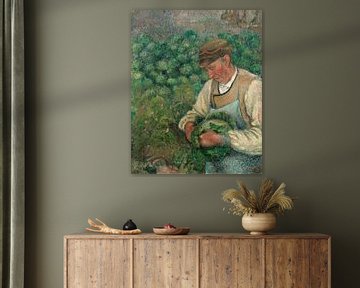 der Gärtner - Alte Bauer mit Kohl, Camille Pissarro